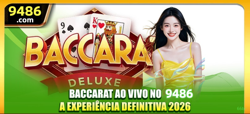 Programa VIP 66br